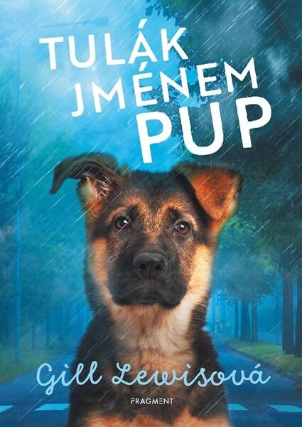 Tulák jménem Pup - 9788025359303