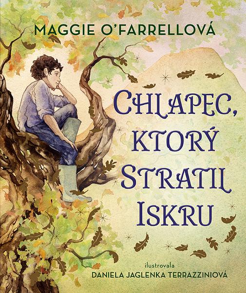 Chlapec, ktorý stratil iskru - 9788022213646