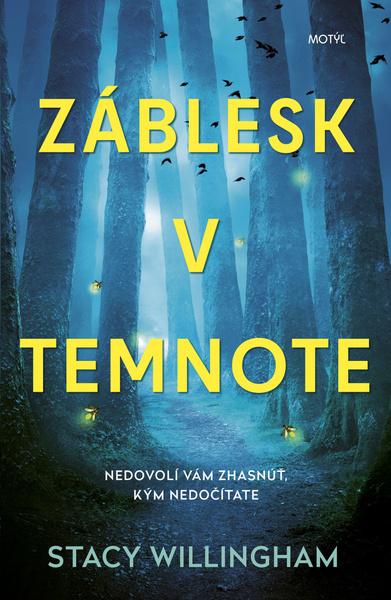 Záblesk v temnote - 9788081643040
