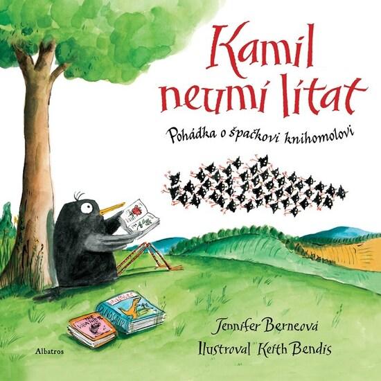 Kamil neumí lítat - 9788000068817