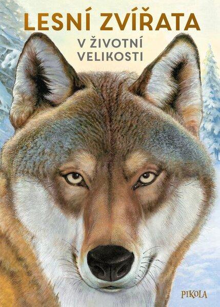 Lesní zvířata v životní velikosti - 9788024283104