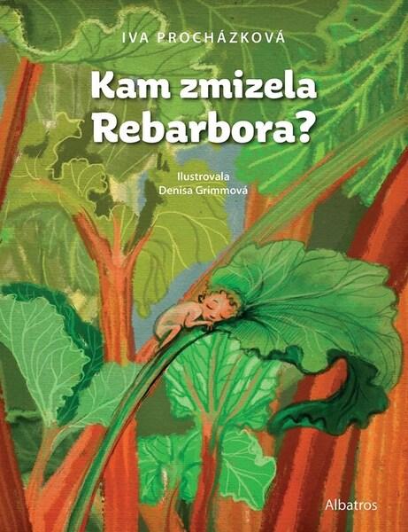 Kam zmizela Rebarbora? - 9788000069067