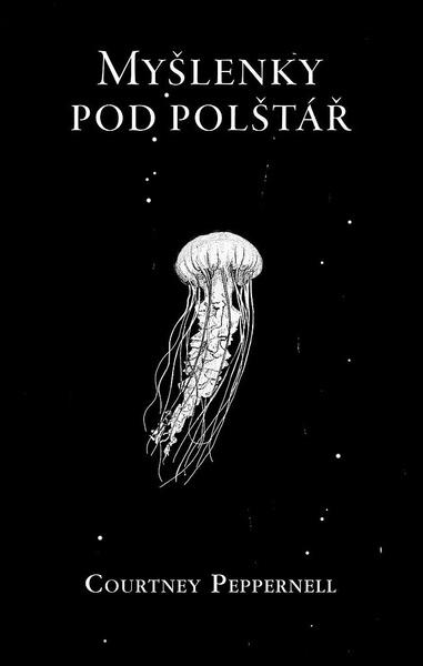 Myšlenky pod polštář - 9788024283753