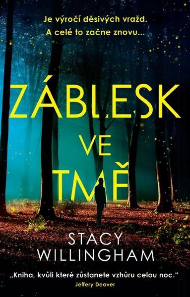 Záblesk ve tmě - 9788024284118