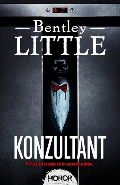 Konzultant - 9788027712229
