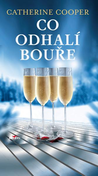 Co odhalí bouře - 9788076338470