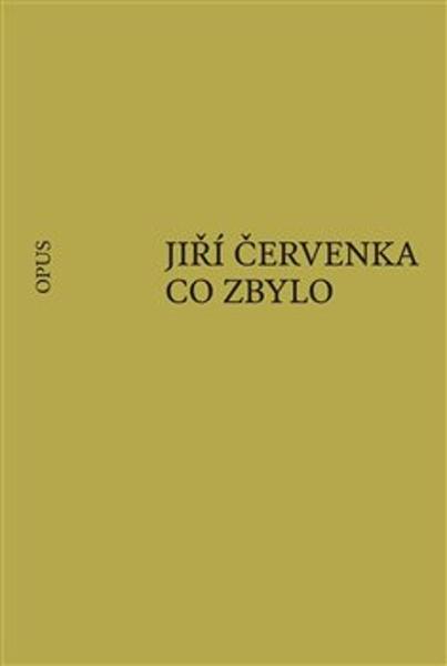 Co zbylo - 9788087048740