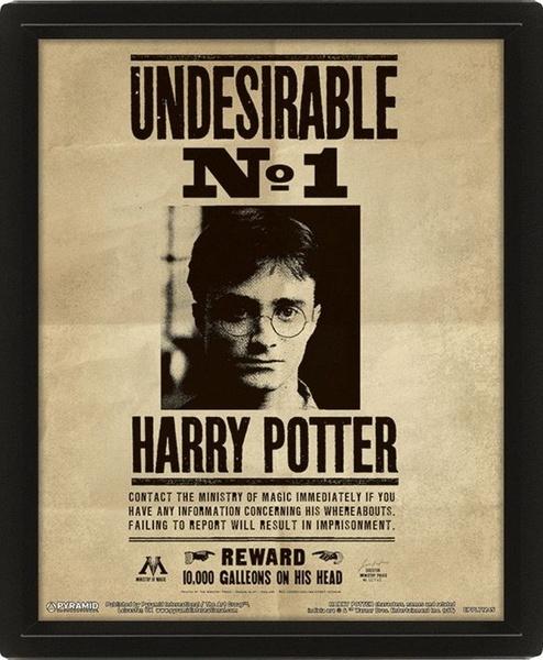 Levně Harry Potter: Obraz 3D - Sirius Black
