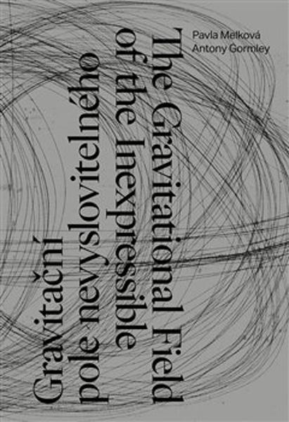 Gravitační pole nevyslovitelného - 9788074373763