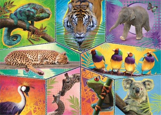 TREFL Puzzle Animal Planet: Svět exotických zvířat 200 dílků - 13280