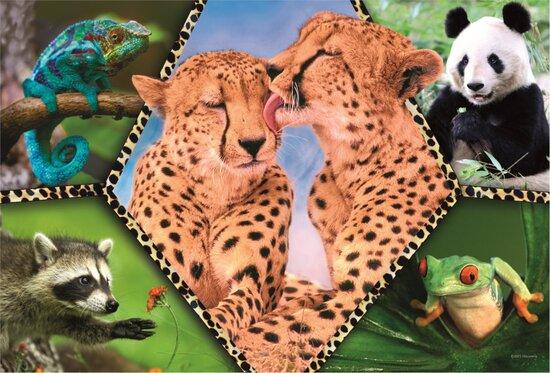 TREFL Puzzle Animal Planet: Krásná příroda 100 dílků - 16424