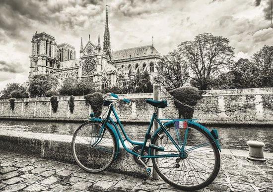 EDUCA Puzzle Kolo u Notre-Dame 500 dílků - 18482