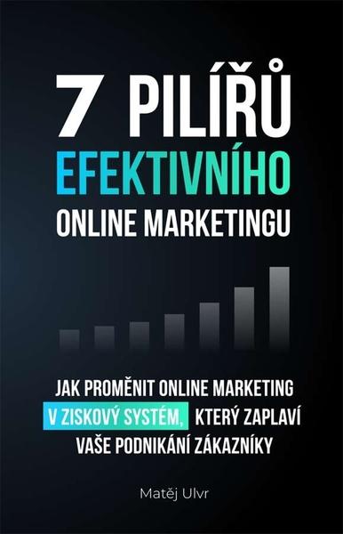 Levně 7 pilířů efektivního online marketingu