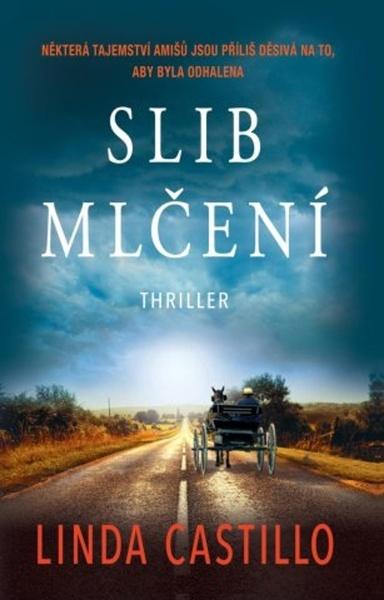 Slib mlčení - 9788027907748