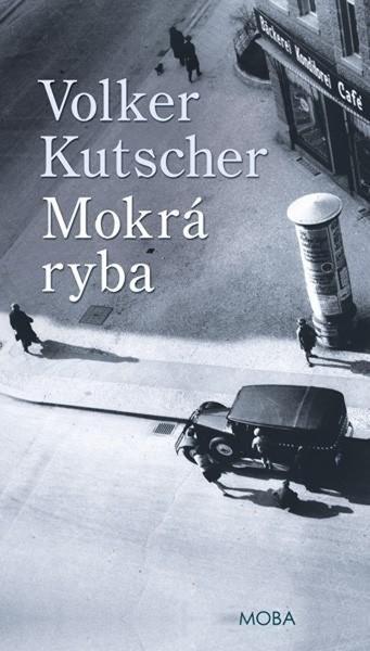 Mokrá ryba - 9788027907724