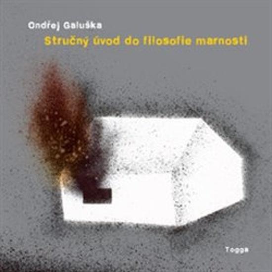 Stručný úvod do filosofie marnosti - 9788074762765