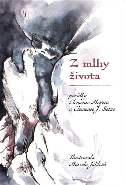 Z mlhy života - 9788074655814