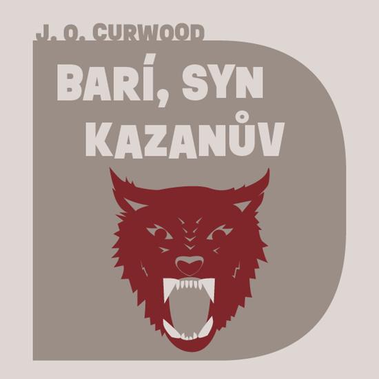 Levně Barí, syn Kazanův