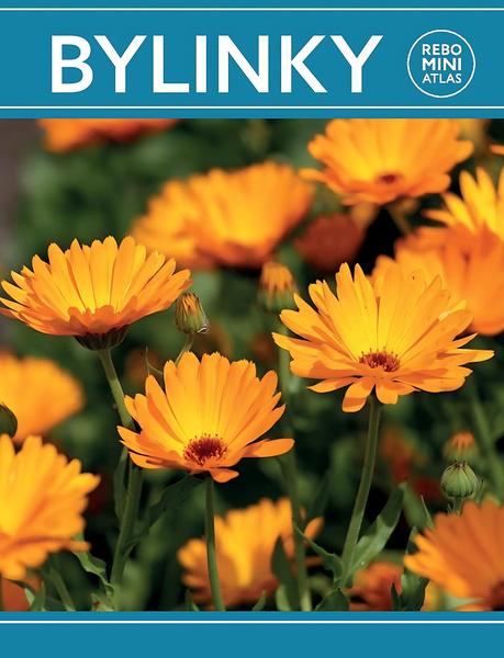 Bylinky miniatlas - 9788025514245