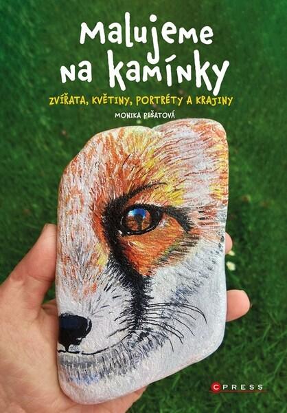Malujeme na kamínky - 9788026446774