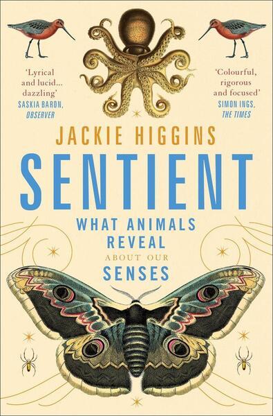 Sentient - 1529030811