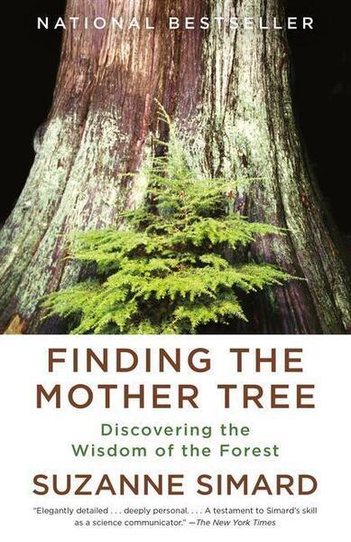 Levně Finding the Mother Tree