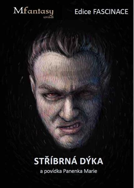 Stříbrná dýka - 9788088154105