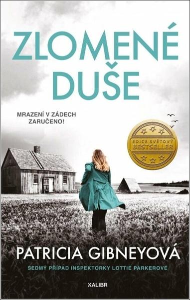 Zlomené duše - 9788024289816