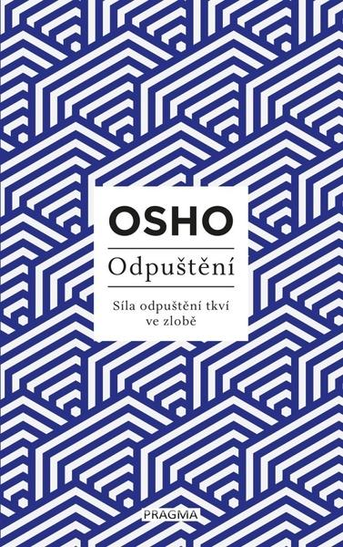 Odpuštění - 9788024287935