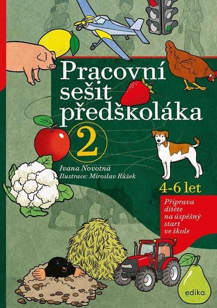 Pracovní sešit předškoláka 2 - 9788026618539