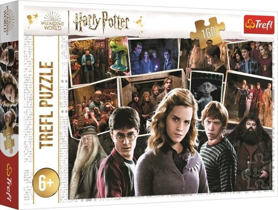 Levně TREFL Puzzle Harry Potter s přáteli 160 dílků