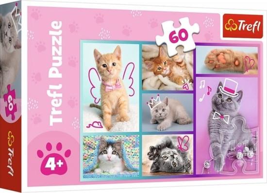 Levně TREFL Puzzle Roztomilá koťátka 60 dílků