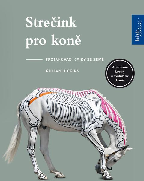 Levně Strečink pro koně