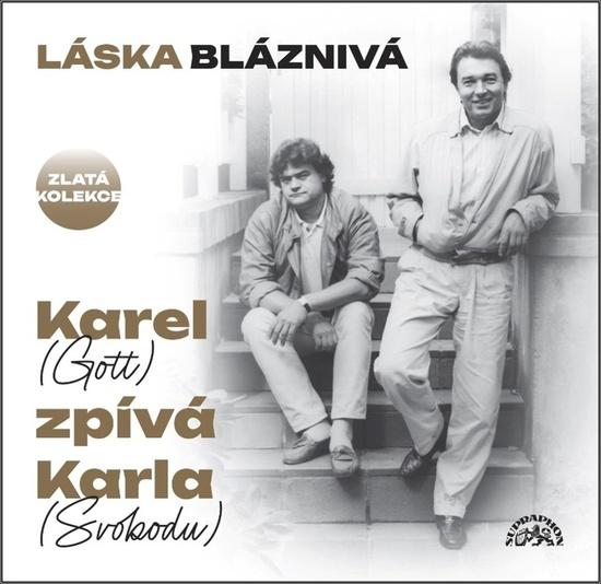 Levně Láska bláznivá