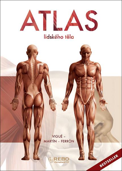 Levně Atlas lidského těla