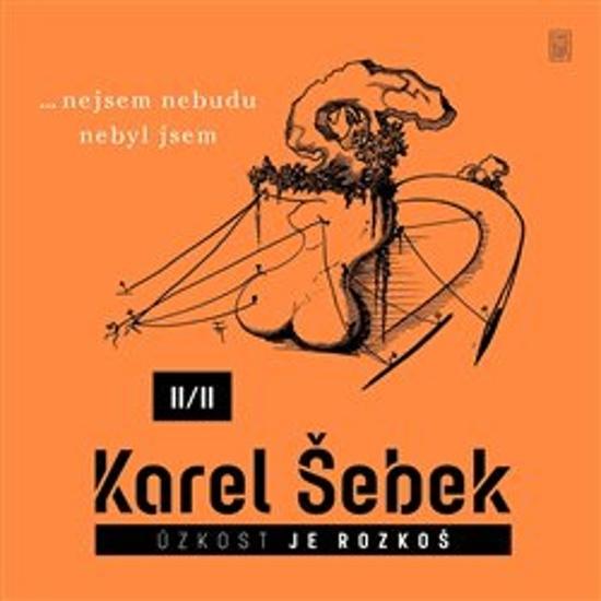 Úzkost je rozkoš II/II - 9788076900387