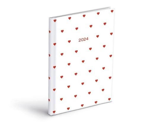 Diář 2024 T805 Lamino 6 týdenní
