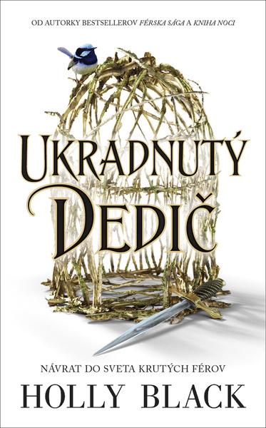 Ukradnutý dedič - 9788055660936
