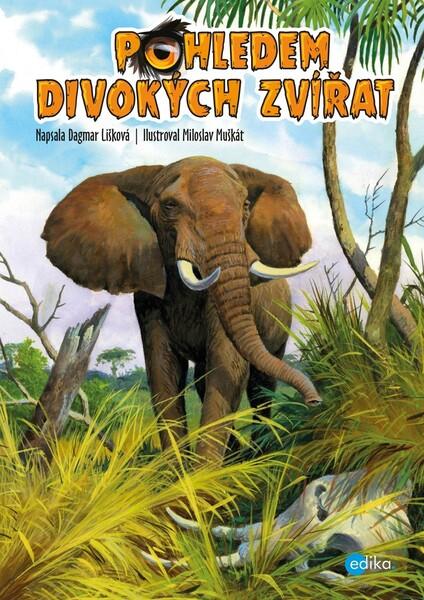 Pohledem divokých zvířat - 9788026614739