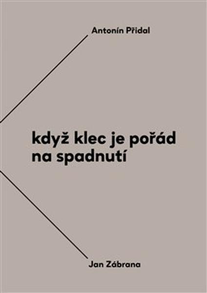 Levně Když klec je pořád na spadnutí