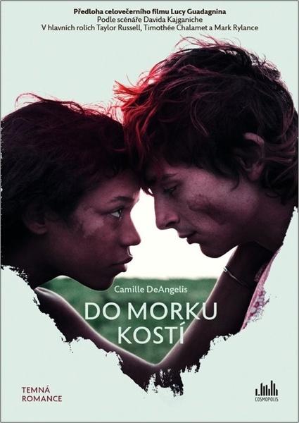Do morku kostí - 9788027139651
