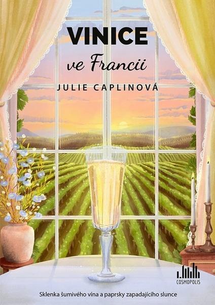 Vinice ve Francii - 9788027139682