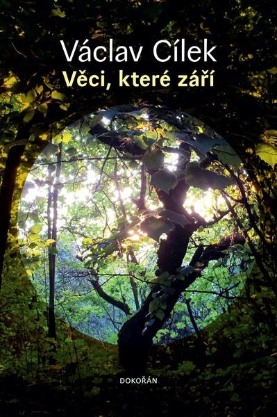 Levně Věci, které září
