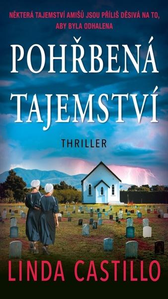 Pohřbená tajemství - 9788027908158