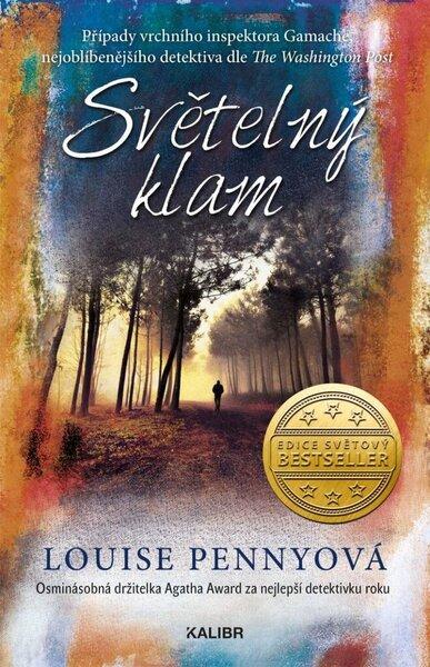 Světelný klam - 9788024292441