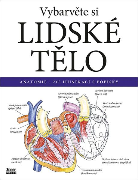Vybarvěte si lidské tělo - 9788074135569