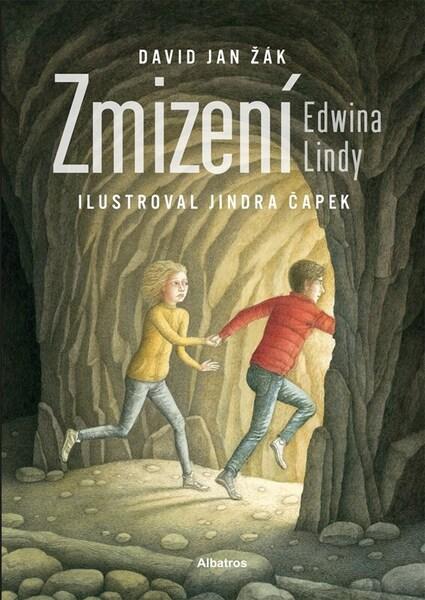 Zmizení Edwina Lindy - 9788000071893