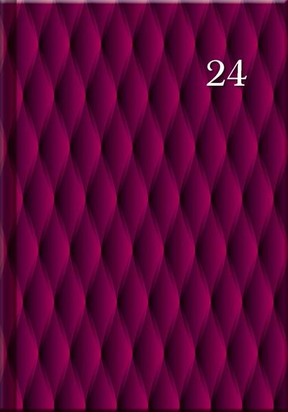 Denní diář A5 cz/sk Print Burgundy
