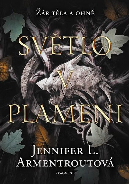 Světlo v plameni - 9788025365687