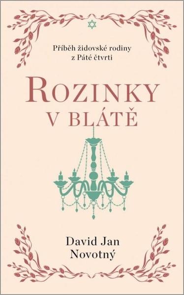 Rozinky v blátě - 9788024951652